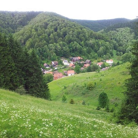 Апартаменты Sleep In Lerbach Osterode am Harz Номер фото