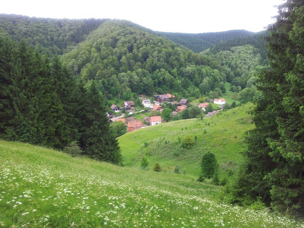 Апартаменты Sleep In Lerbach Osterode am Harz Номер фото